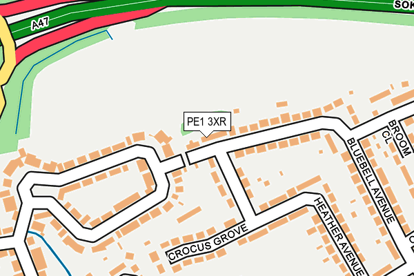 PE1 3XR map - OS OpenMap – Local (Ordnance Survey)