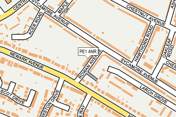 PE1 4NR map - OS OpenMap – Local (Ordnance Survey)