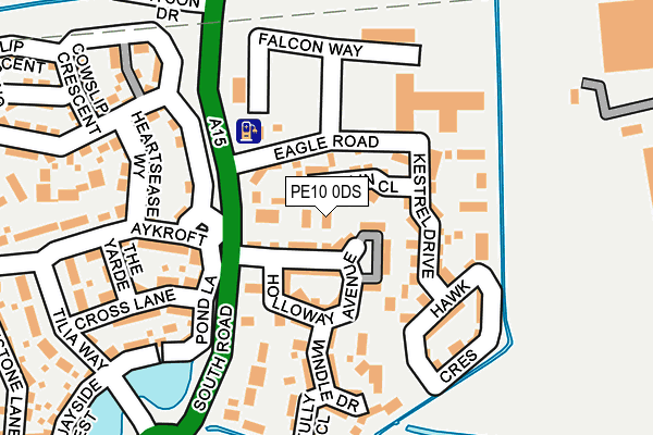 PE10 0DS map - OS OpenMap – Local (Ordnance Survey)