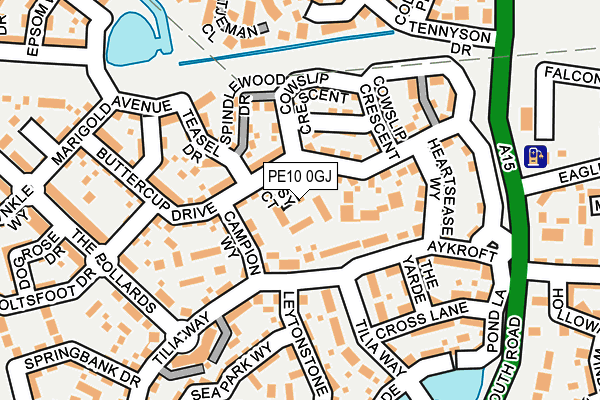 PE10 0GJ map - OS OpenMap – Local (Ordnance Survey)