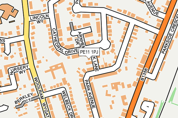 PE11 1PJ map - OS OpenMap – Local (Ordnance Survey)