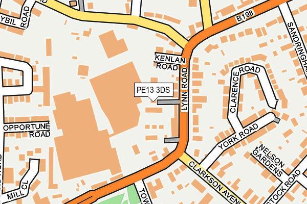 PE13 3DS map - OS OpenMap – Local (Ordnance Survey)