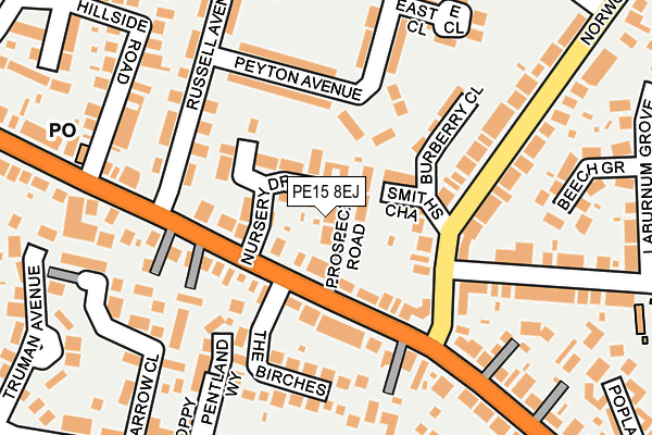 PE15 8EJ map - OS OpenMap – Local (Ordnance Survey)