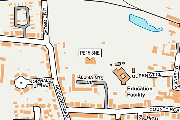 PE15 8NE map - OS OpenMap – Local (Ordnance Survey)