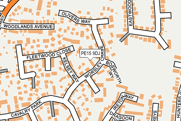 PE15 9DJ map - OS OpenMap – Local (Ordnance Survey)