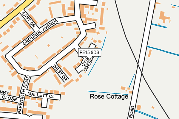 PE15 9DS map - OS OpenMap – Local (Ordnance Survey)