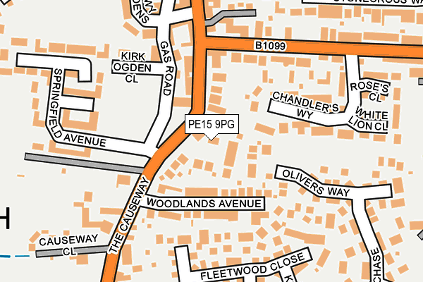 PE15 9PG map - OS OpenMap – Local (Ordnance Survey)