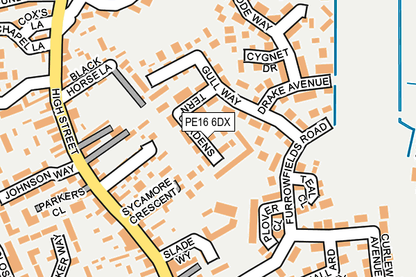 PE16 6DX map - OS OpenMap – Local (Ordnance Survey)