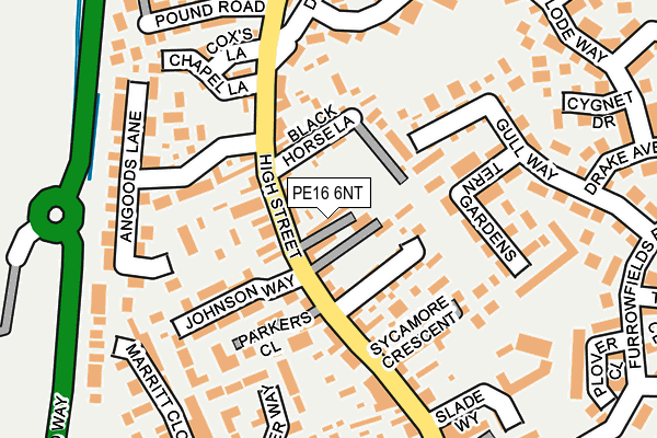 PE16 6NT map - OS OpenMap – Local (Ordnance Survey)