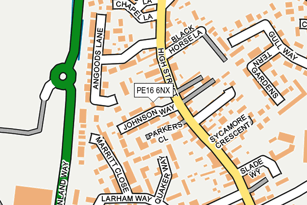 PE16 6NX map - OS OpenMap – Local (Ordnance Survey)