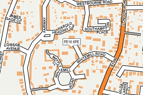 PE16 6PE map - OS OpenMap – Local (Ordnance Survey)