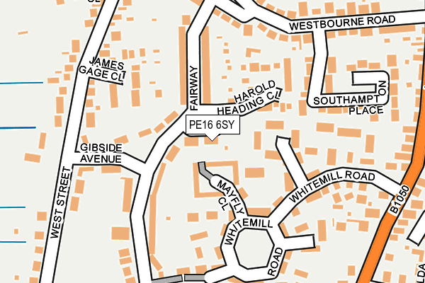 PE16 6SY map - OS OpenMap – Local (Ordnance Survey)