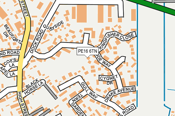 PE16 6TN map - OS OpenMap – Local (Ordnance Survey)