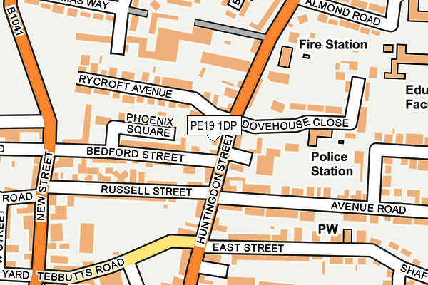 PE19 1DP map - OS OpenMap – Local (Ordnance Survey)