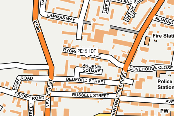 PE19 1DT map - OS OpenMap – Local (Ordnance Survey)