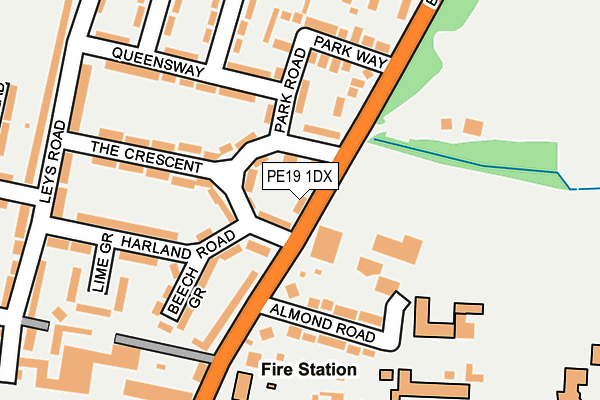 PE19 1DX map - OS OpenMap – Local (Ordnance Survey)