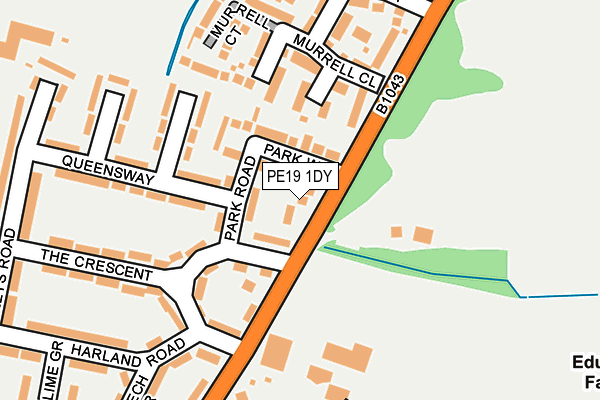 PE19 1DY map - OS OpenMap – Local (Ordnance Survey)