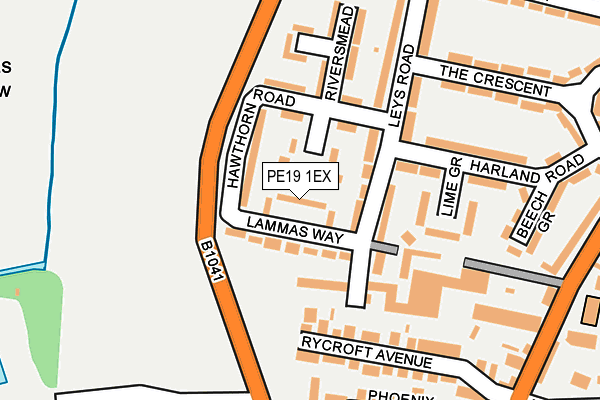 PE19 1EX map - OS OpenMap – Local (Ordnance Survey)