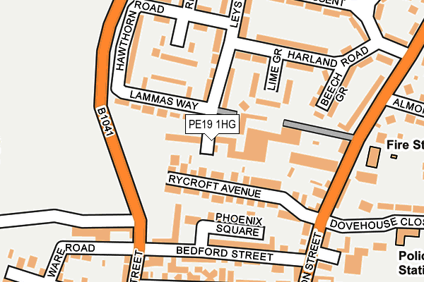 PE19 1HG map - OS OpenMap – Local (Ordnance Survey)