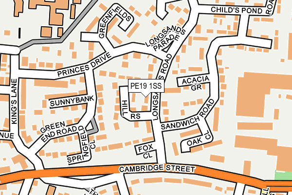 PE19 1SS map - OS OpenMap – Local (Ordnance Survey)