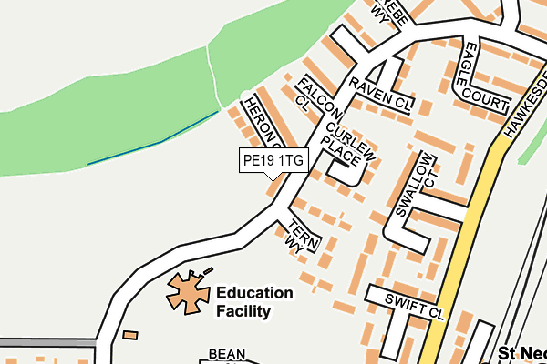PE19 1TG map - OS OpenMap – Local (Ordnance Survey)