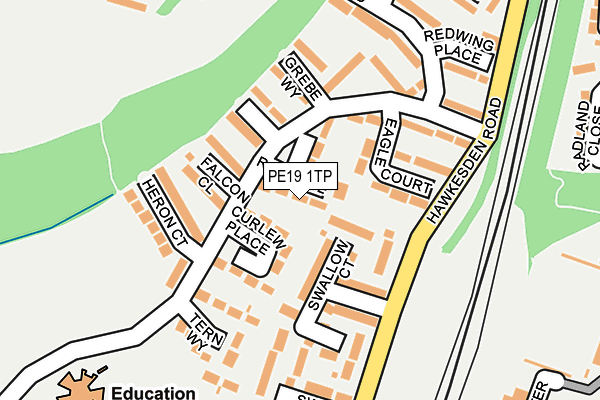 PE19 1TP map - OS OpenMap – Local (Ordnance Survey)