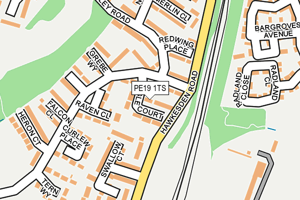 PE19 1TS map - OS OpenMap – Local (Ordnance Survey)