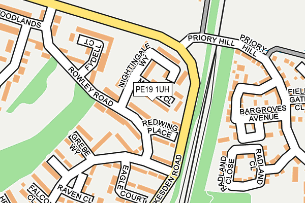 PE19 1UH map - OS OpenMap – Local (Ordnance Survey)