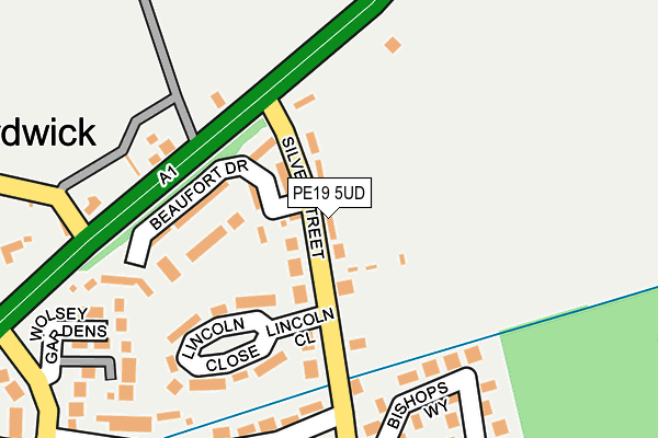 PE19 5UD map - OS OpenMap – Local (Ordnance Survey)
