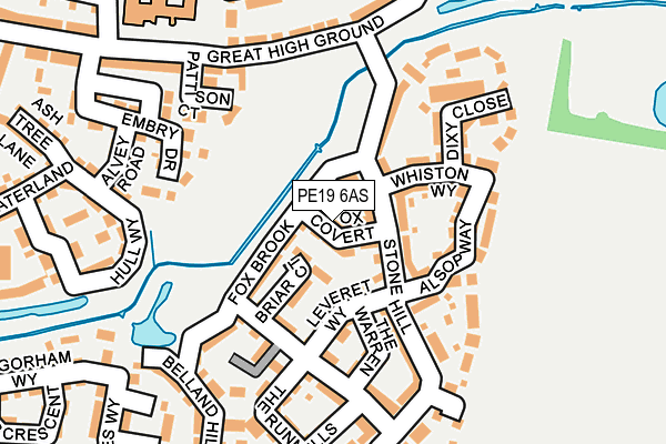 PE19 6AS map - OS OpenMap – Local (Ordnance Survey)