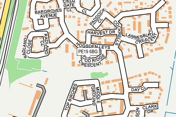 PE19 6BG map - OS OpenMap – Local (Ordnance Survey)