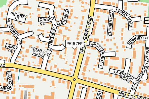 PE19 7FP map - OS OpenMap – Local (Ordnance Survey)