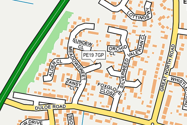PE19 7GP map - OS OpenMap – Local (Ordnance Survey)