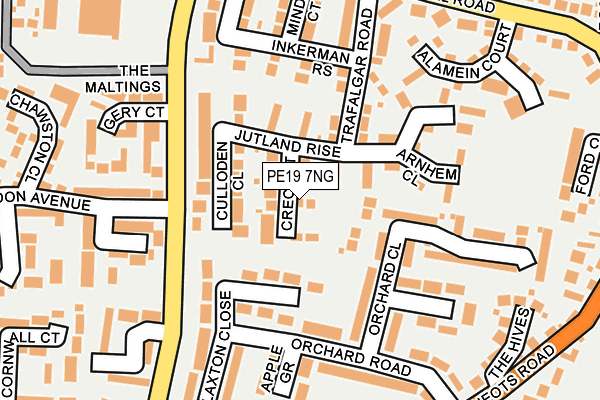 PE19 7NG map - OS OpenMap – Local (Ordnance Survey)