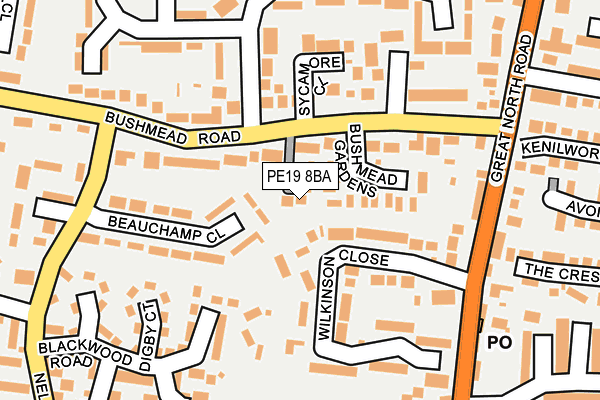 PE19 8BA map - OS OpenMap – Local (Ordnance Survey)