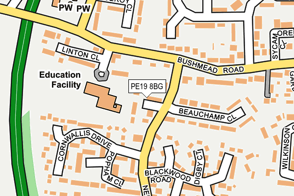 PE19 8BG map - OS OpenMap – Local (Ordnance Survey)
