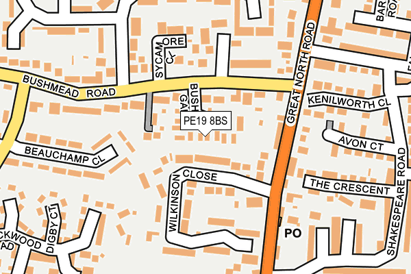 PE19 8BS map - OS OpenMap – Local (Ordnance Survey)