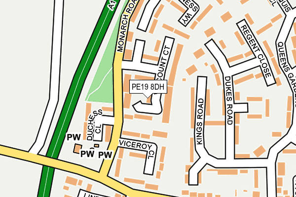 PE19 8DH map - OS OpenMap – Local (Ordnance Survey)