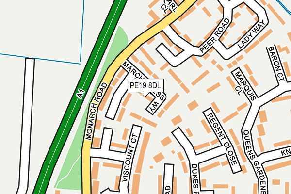 PE19 8DL map - OS OpenMap – Local (Ordnance Survey)