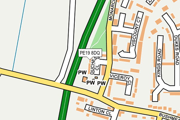 PE19 8DQ map - OS OpenMap – Local (Ordnance Survey)