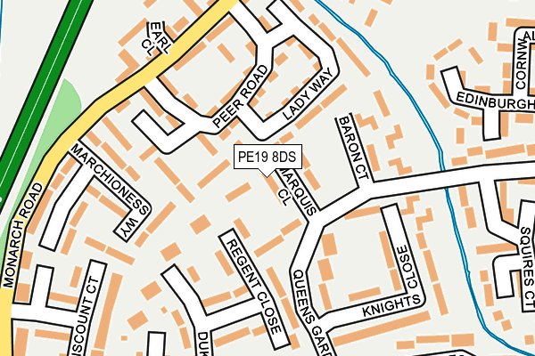 PE19 8DS map - OS OpenMap – Local (Ordnance Survey)