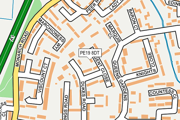 PE19 8DT map - OS OpenMap – Local (Ordnance Survey)