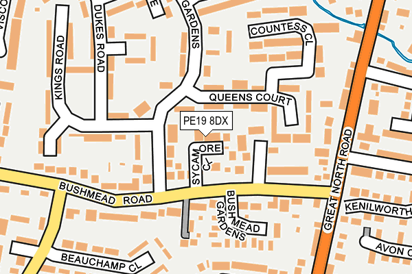 PE19 8DX map - OS OpenMap – Local (Ordnance Survey)