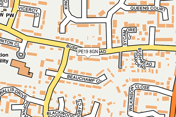 PE19 8GN map - OS OpenMap – Local (Ordnance Survey)