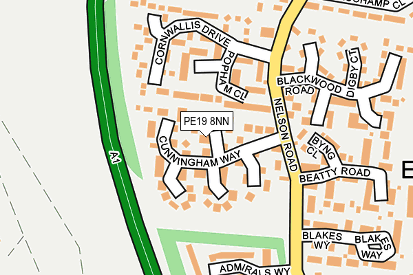 PE19 8NN map - OS OpenMap – Local (Ordnance Survey)