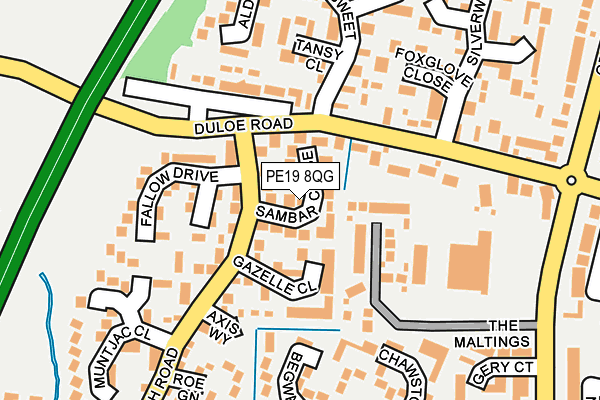 PE19 8QG map - OS OpenMap – Local (Ordnance Survey)