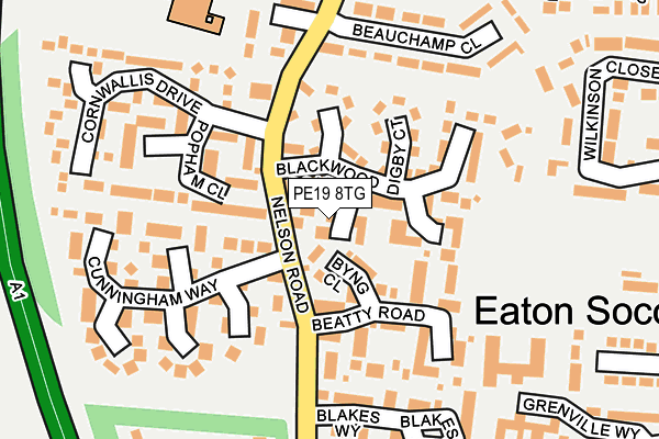 PE19 8TG map - OS OpenMap – Local (Ordnance Survey)
