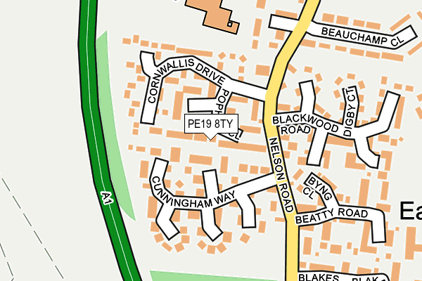 PE19 8TY map - OS OpenMap – Local (Ordnance Survey)