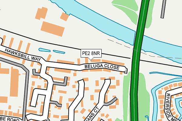 PE2 8NR map - OS OpenMap – Local (Ordnance Survey)