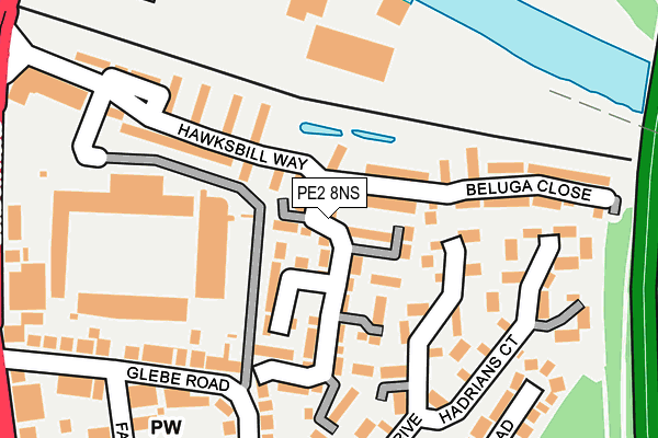 PE2 8NS map - OS OpenMap – Local (Ordnance Survey)